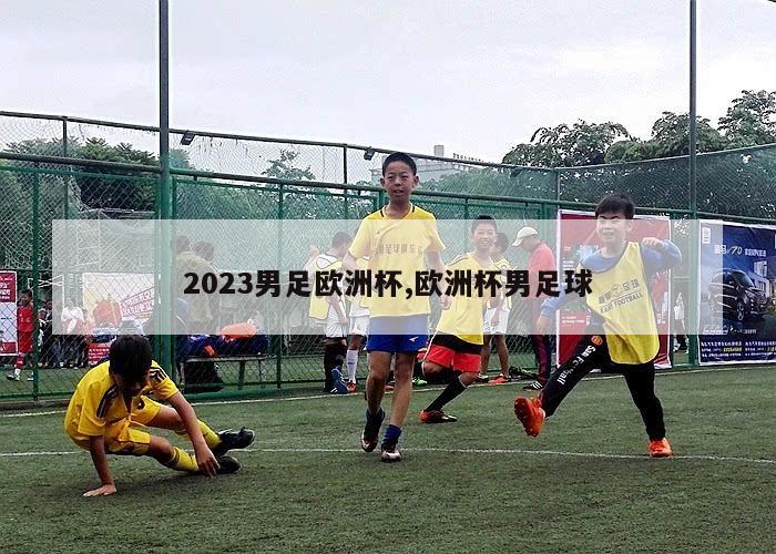 2023男足欧洲杯,欧洲杯男足球