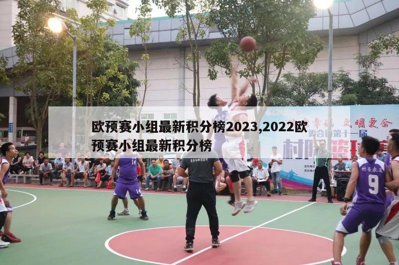 欧预赛小组最新积分榜2023,2022欧预赛小组最新积分榜