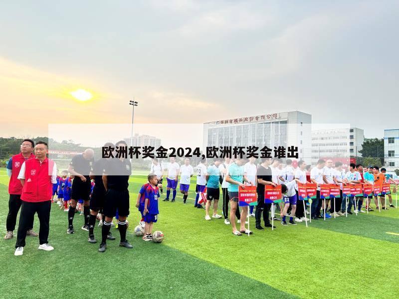 欧洲杯奖金2024,欧洲杯奖金谁出