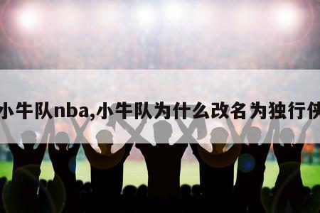 小牛队nba,小牛队为什么改名为独行侠